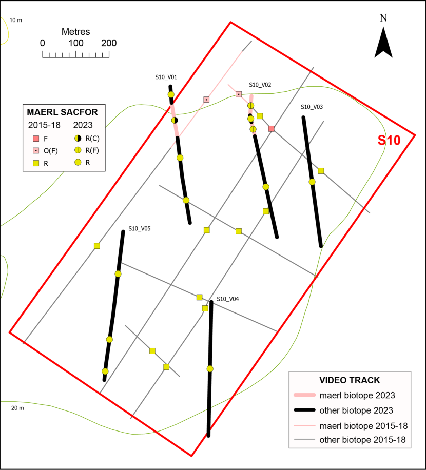 Temporal comparison of maerl records in box S10.