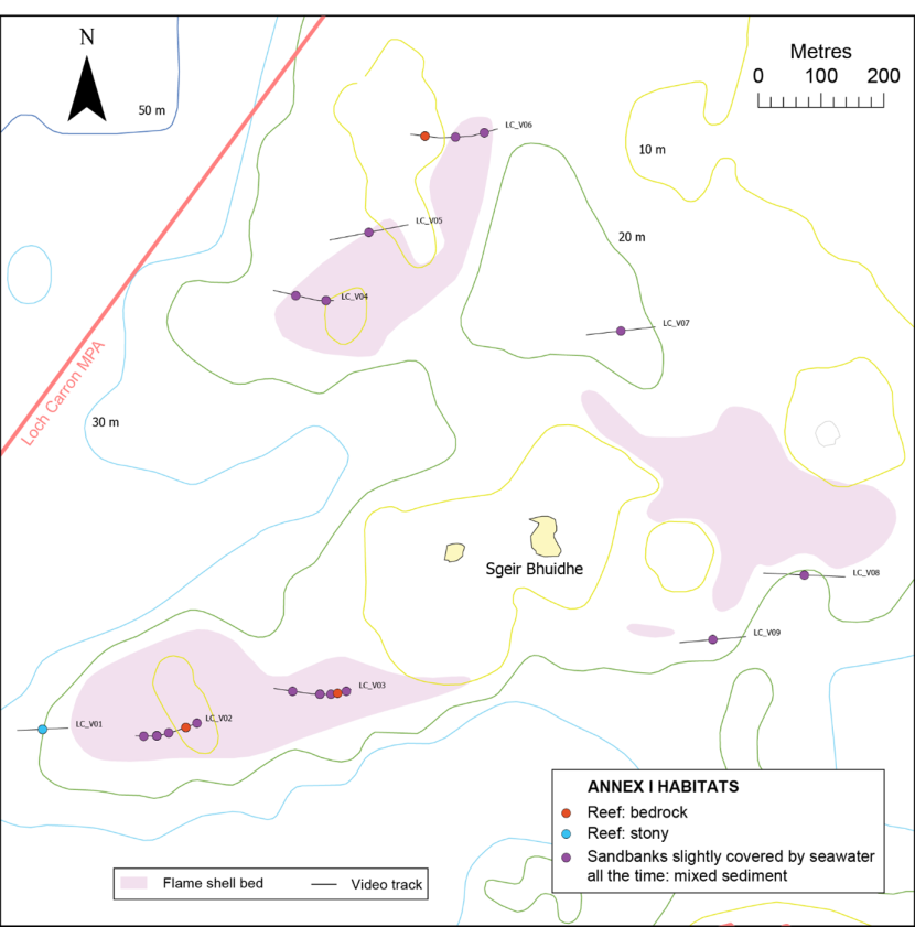 Annex I habitat records around Sgeir Bhuidhe in Loch Carron.
