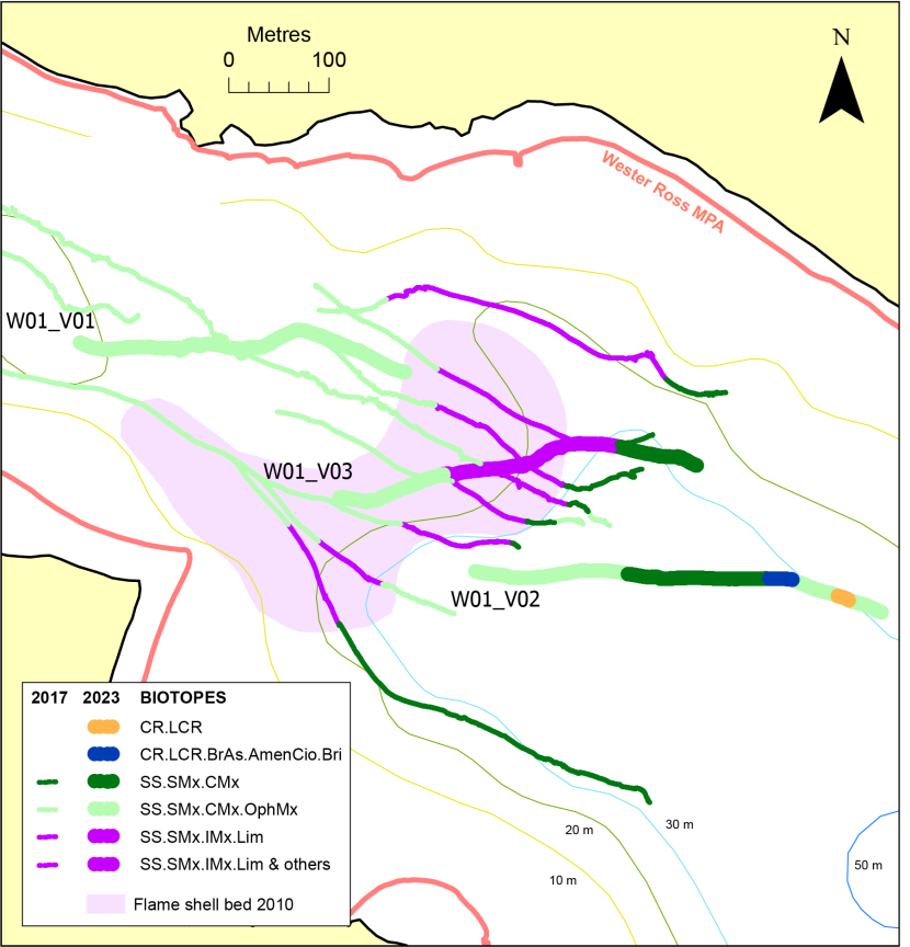 Temporal comparison of biotope records in Sruth Lagaidh Narrows.
