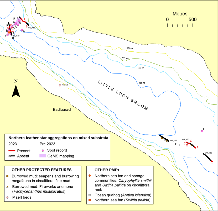 Protected feature and other PMF records in Little Loch Broom.