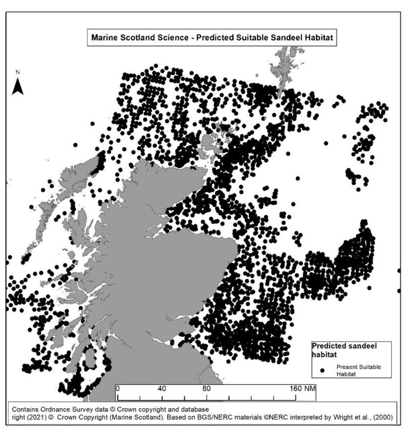 Predicted sandeel habitat data based on Marine Scotland Science GAM.