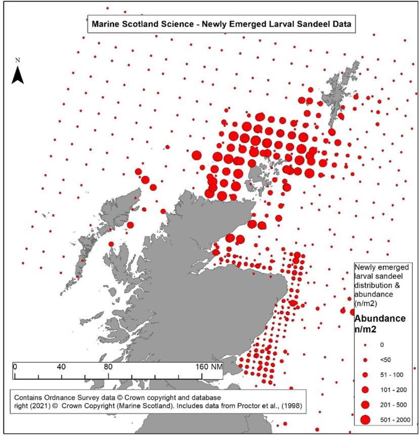 Newly emerged larval sandeel data, produced by collated by MSS as part of  Proctor et al., 1998.