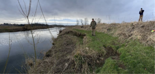 RRC Photo from a section of flood bank on the River Isla in March 2022. 1.5m height and less than 5m from water edge.