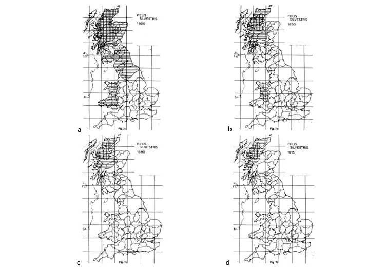 4 maps showing the distribution of wildcats across the years.