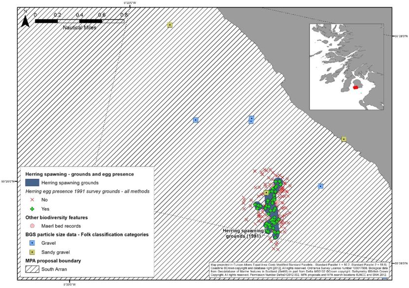 Map showing Data identified as herring spawning grounds based on sampling detailed in Morrison et al. (1991).