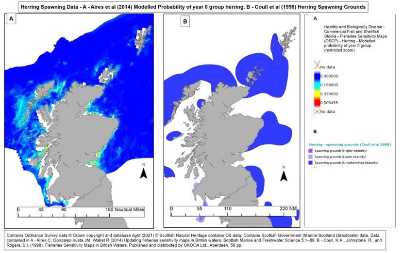 Map showing examples of attempts to identify areas of herring spawning grounds using proxy information.