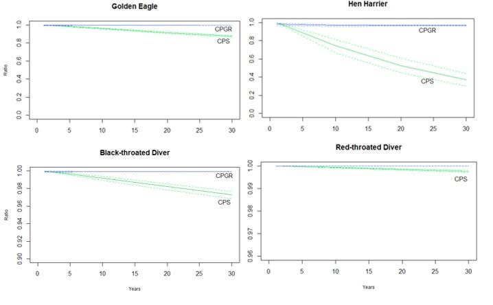 Line graphs showing the change in ratio between the impacted and unimpacted SPA populations of four species of bird species