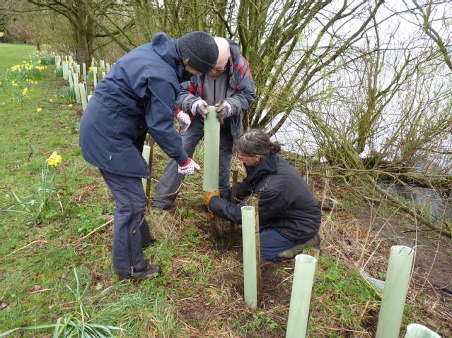 Volunteers planting trees at Loch Leven NNR