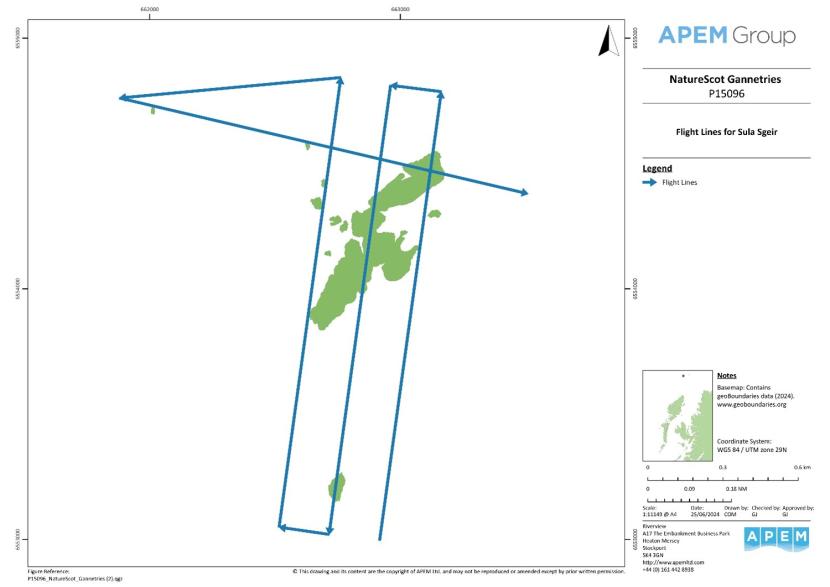 Map of the Sula Sgeir colony with survey flight lines showing the direction the plane was flying. 