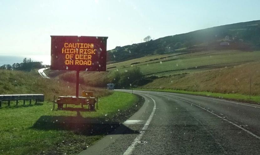A mobile messaging sign located on a grassy road verge stating ‘Caution - High risk of deer on road’ on an approximately two by one metre wide digital display board. 