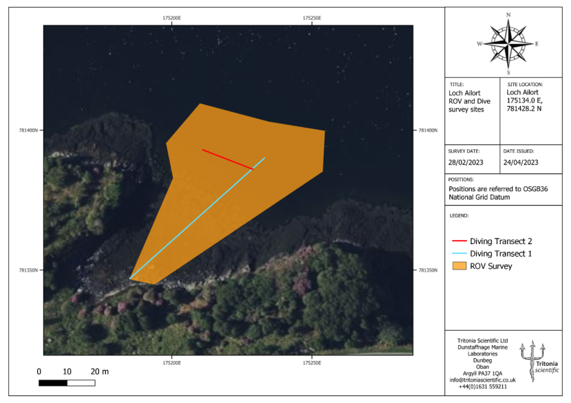 Zoomed in map of the head of Loch Ailort with the ROV survey area, and the divers transects highlighted.