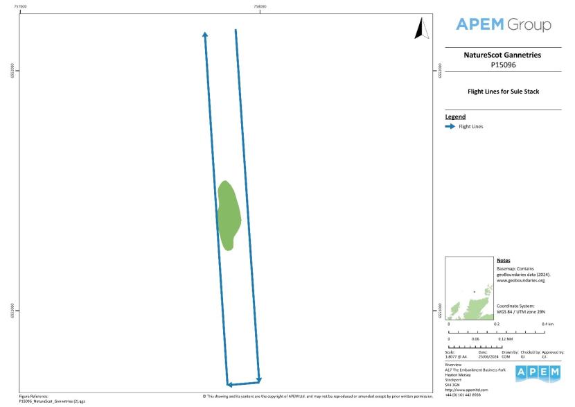 Map of the Sule Stack colony with survey flight lines showing the direction the plane was flying. 