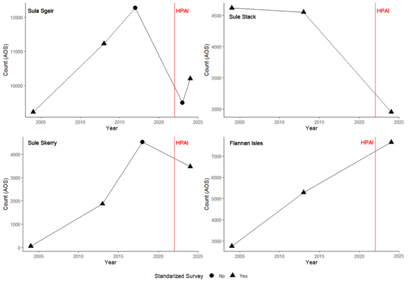 Four line graphs showing historical gannets counts from different colonies. One graph per colony.  