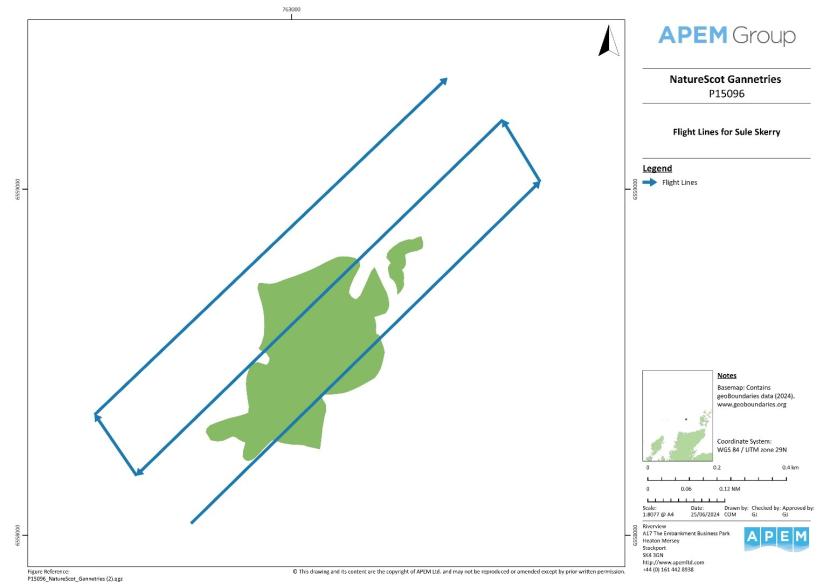 Map of the Sule Skerry colony with survey flight lines showing the direction the plane was flying. 