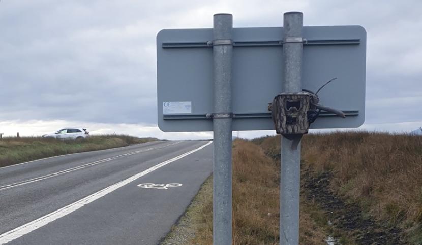 Wildlife camera trap positioned within a metal security box mounted on the back of a road sign.