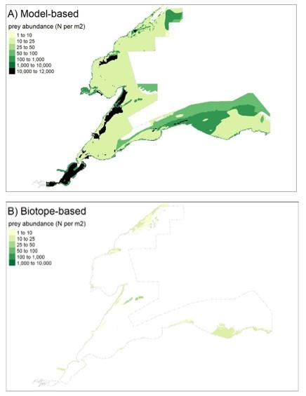 Long-tailed duck, mapped outputs for the Moray Firth SPA showing A) Species model based and B) Biotope-based predictions of combined principal prey abundance.