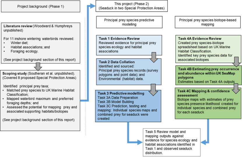 Flowchart outlining project background and the methodology stages for the current project under the principal prey species modelling and biotope analysis workstreams.