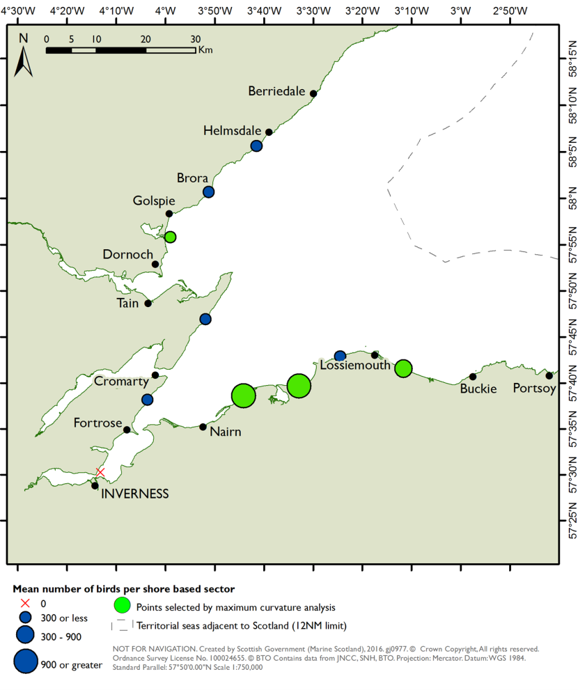 Distribution of common scoter in the Moray Firth SPA derived from shore-based counts during the winter seasons 2001/02 and 2005/06 (NatureScot, 2016).