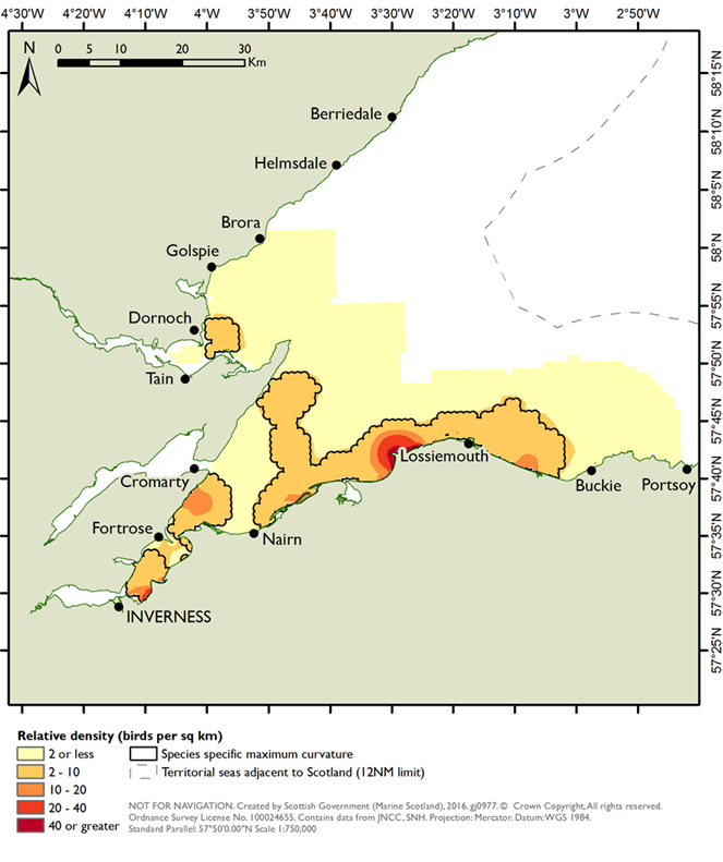 Distribution of long-tailed duck in the Moray Firth SPA derived from aerial surveys during the winter seasons of 2001/02 to 2006/07 (NatureScot 2016).