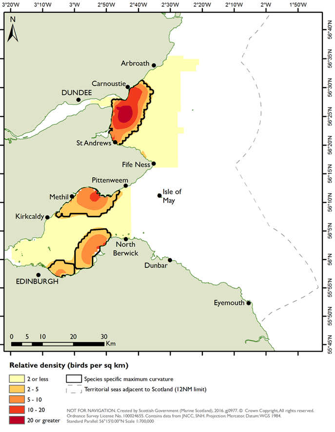 Distribution of common scoter in the Outer Firth of Forth and St Andrews Bay Complex SPA derived from aerial surveys during the winter seasons of 2001/02 to 2004/05 (NatureScot & JNCC, 2016).