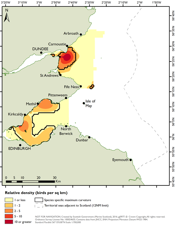 Distribution of long-tailed duck in the Outer Firth of Forth and St Andrews Bay Complex SPA derived from aerial surveys during the winter seasons of 2001/02 to 2004/05 (NatureScot & JNCC, 2016)..