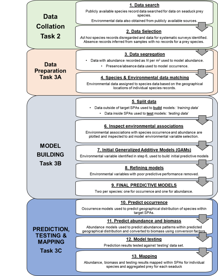 Flowchart outlining the principal prey species modelling methodology and stages.