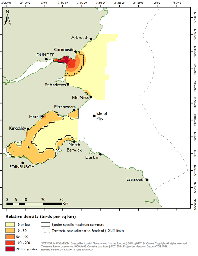 Distribution of common eiders in the Outer Firth of Forth and St Andrews Bay Complex SPA derived from aerial surveys during the winter seasons of 2001/02 to 2004/05 (NatureScot & JNCC, 2016).