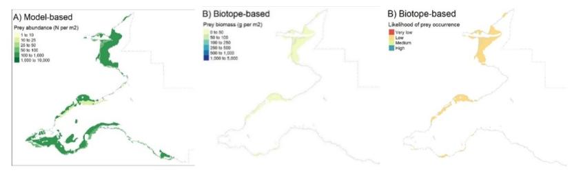 Three maps of the Outer Firth of Forth and St Andrews Bay Complex SPA showing the biotope based predictions of the abundance, biomass and likelihood of occurrence for Donax vittatus. 