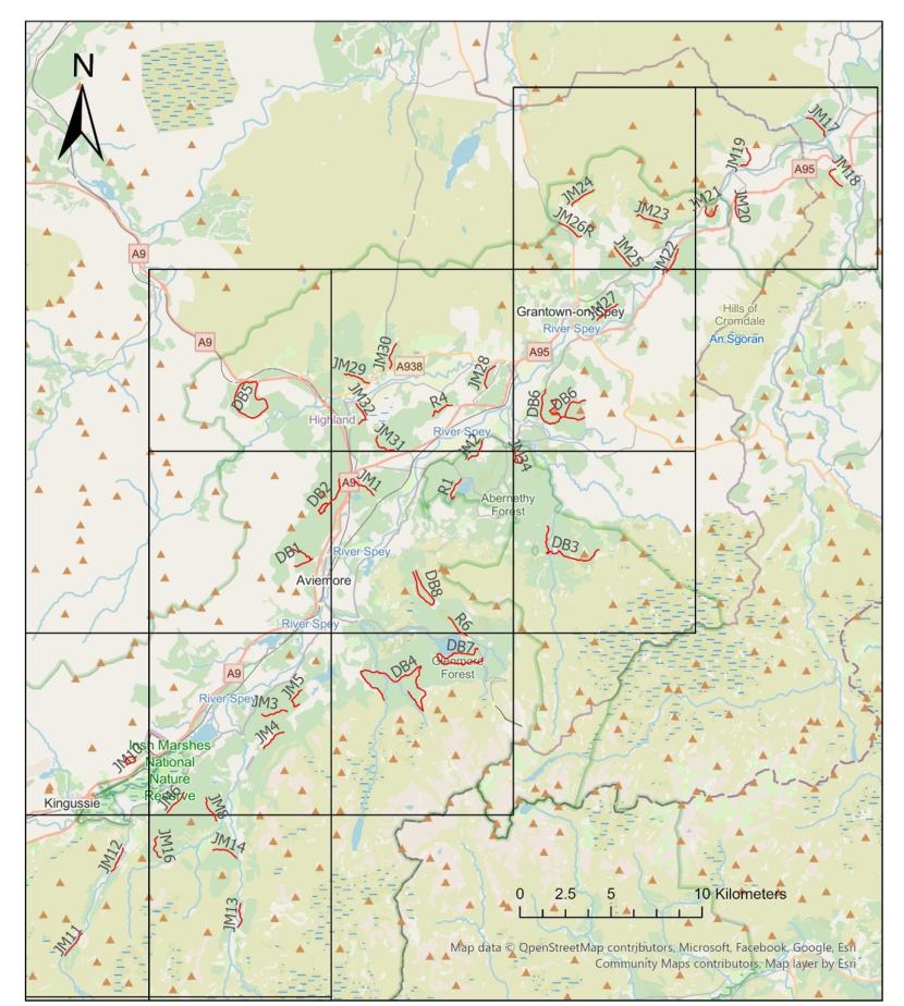 Map of Strathspey showing position of all surveyed transects including those from the 2009 survey.