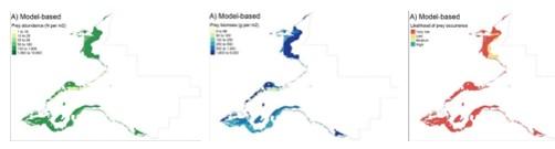 Three maps of the Outer Firth of Forth and St Andrews Bay Complex SPA showing the model based predictive maps for Donax vittatus. 