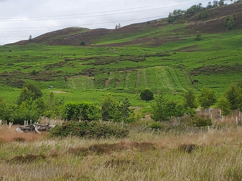 Trial areas from distance