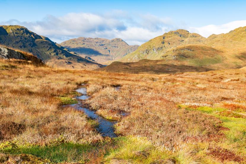 Planning Newsletter 2026 - Landscape near Loch Katrine