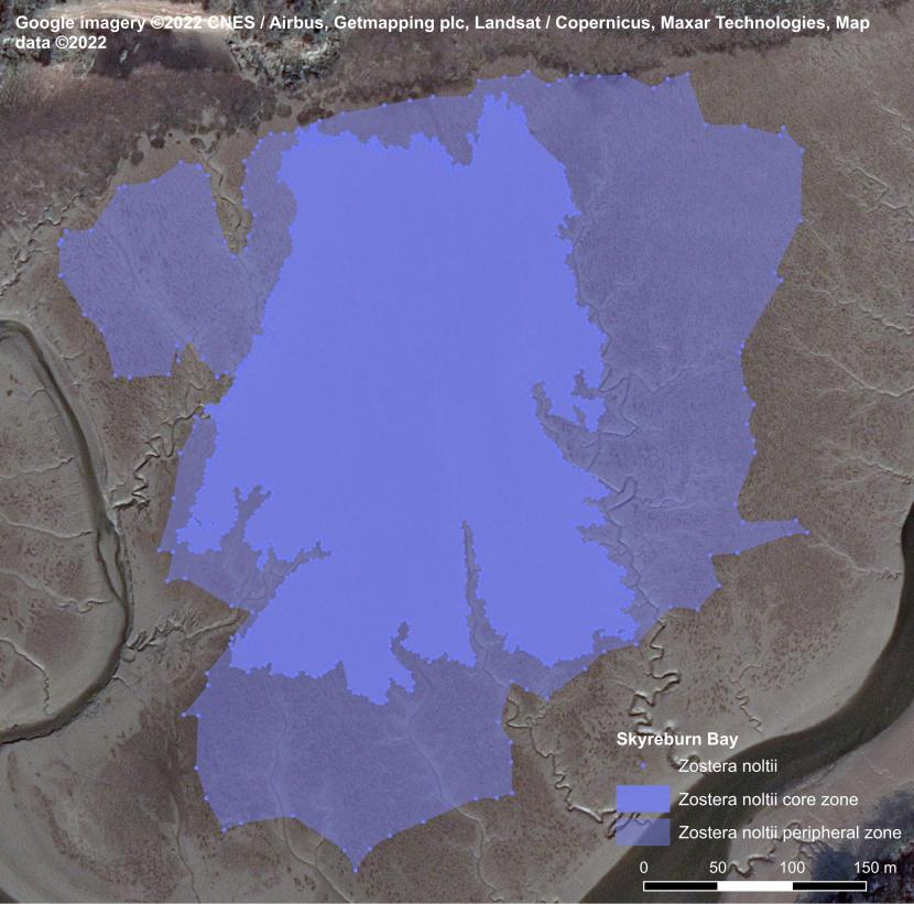 A map showing core zone (light blue) and peripheral zone (darker blue) Zostera noltii distributions superimposed over an aerial photograph. The core zone lies within the area of the peripheral zone. 