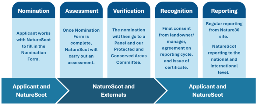 A flow diagram that shows a simple overview of the governance and process around the recognition of Nature30 sites. From left to right, begginning to end, the flow is: 1. Nomination: Applicant works with NatureScot to fill in the Nomination Form 2. Assessment: Once Nomination Form is complete, NatureScot will carry out an assessment. 3. Verification: The nomination will then go to a Panel and the NatureScot Protected Areas Committee. 4. Recognition: Final consent from landowner/manager, agreement on reporti