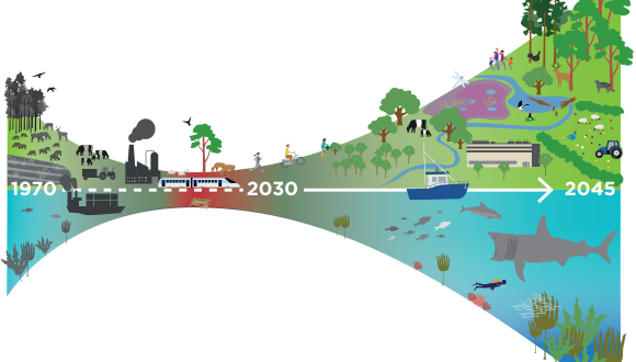 Scotland's Biodiversity strategy vision infographic