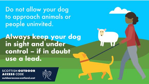 Don't allow your dog to approach animals or people uninvited. Always keep your dog in sight and under control. If in doubt use a lead...