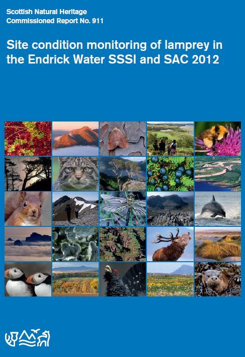SNH Commissioned Report 911 front cover
