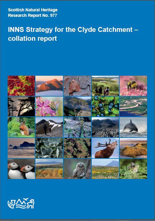 Research Report 977 - front cover