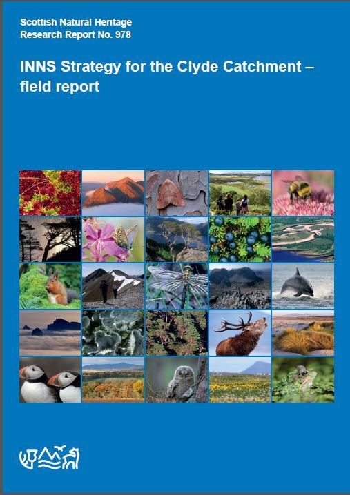 Research Report 978 - front cover