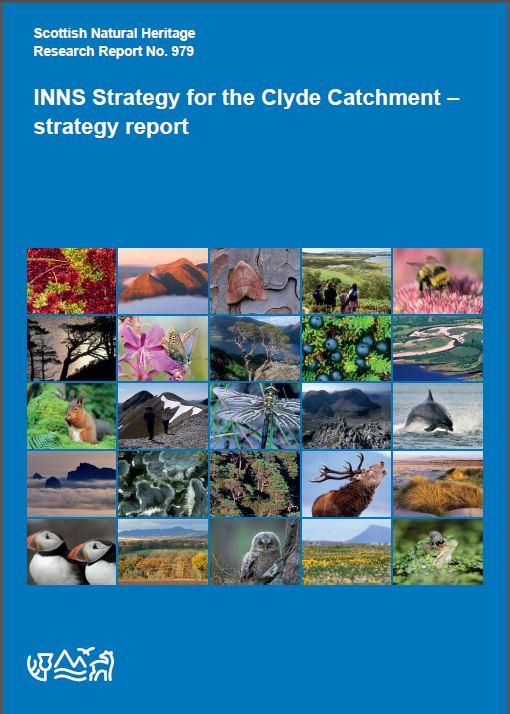 Research Report 979 - front cover
