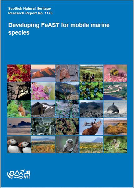 Research Report 1175 front cover