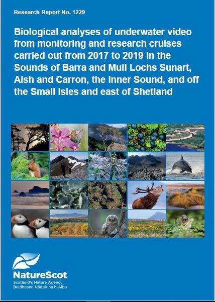 Research Report 1229 - front cover