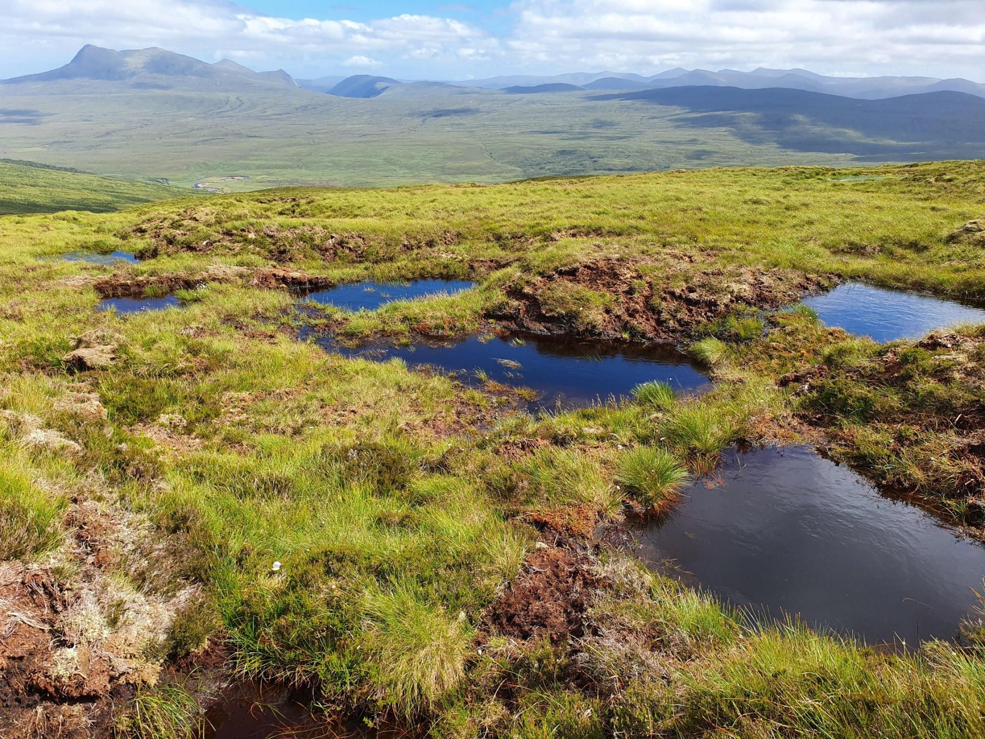 View of peat dams and a network of bog pools at Lochrosque a NatureScot Peatland ACTION restoration site. ©Ndurie Abah / NatureScot Peatland ACTION