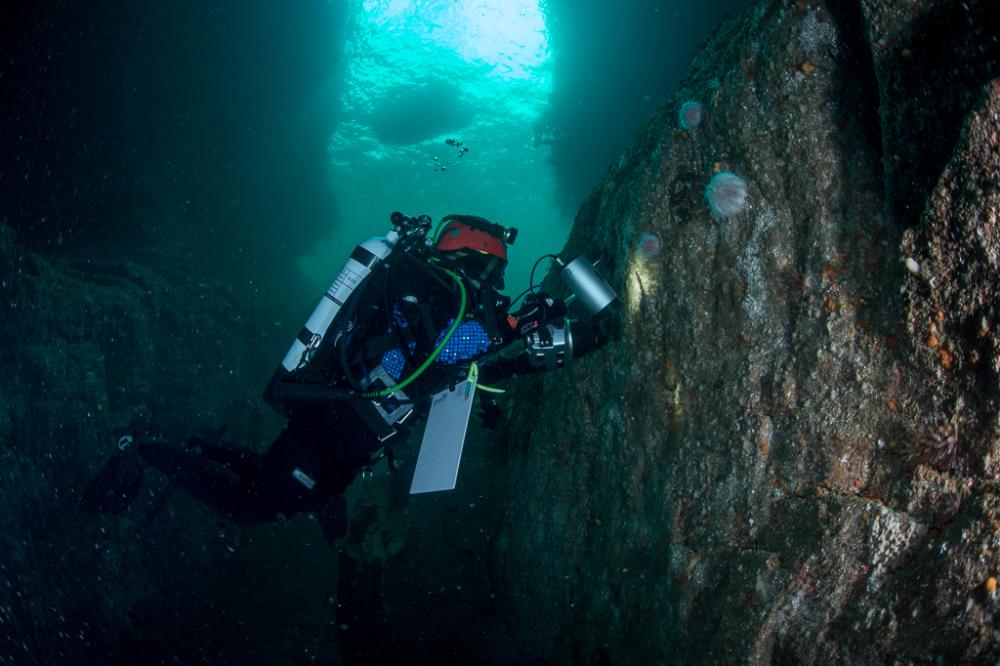 A diver studying marine life in a sea cave in Loch Eriboll. Photographer, Richard Shucksmith. © SNH. All rights reserved. Please contact CMEU for details - snhmarinephotos@nature.scot