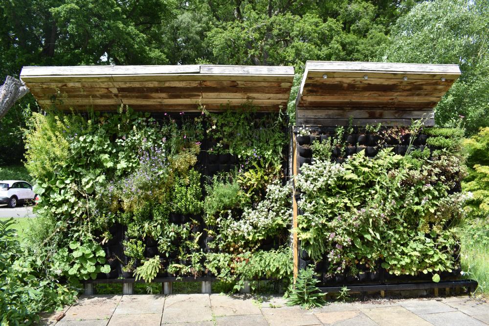 Battleby Living Wall