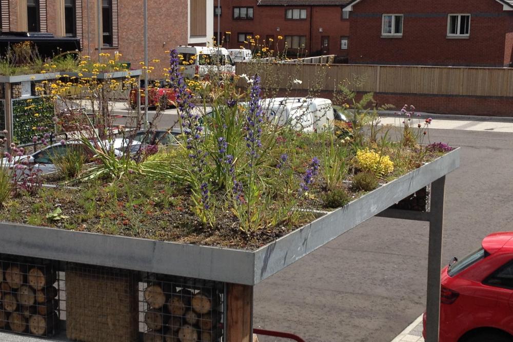 Green roof at Woodside Health Centre