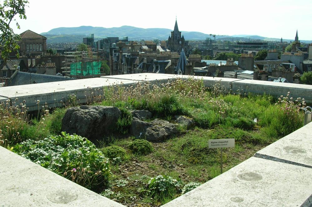 Green Roof Garden, National Museum of Scotland
