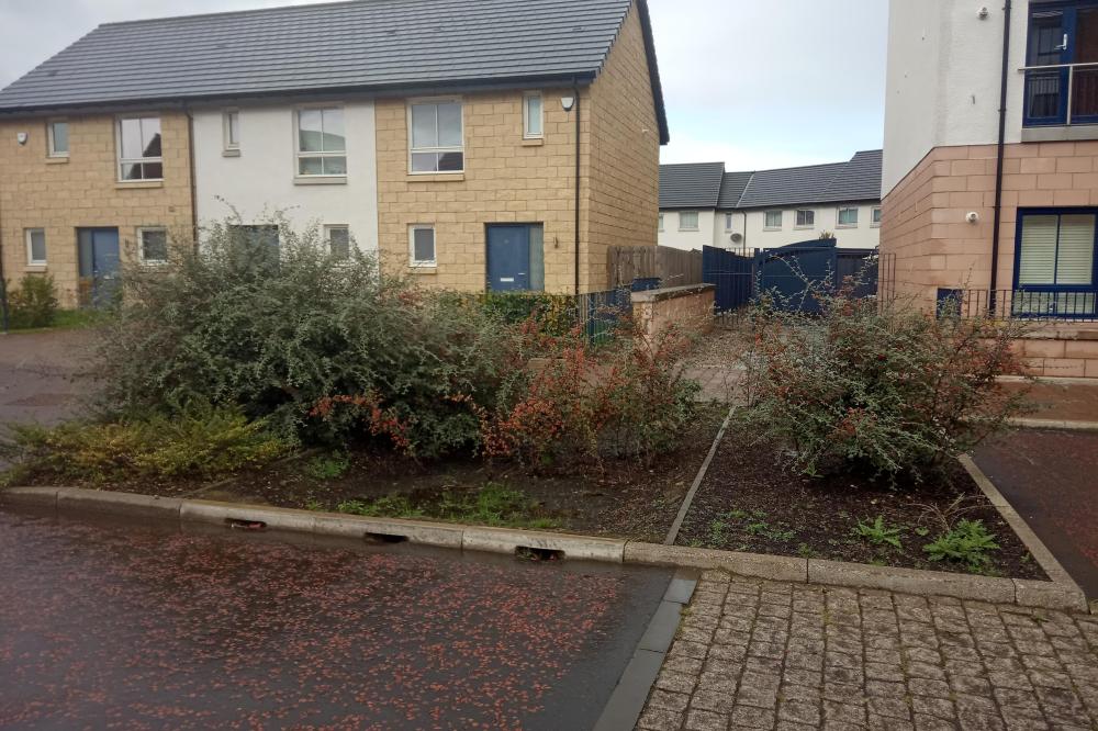 SUDS at Oatlands, Glasgow