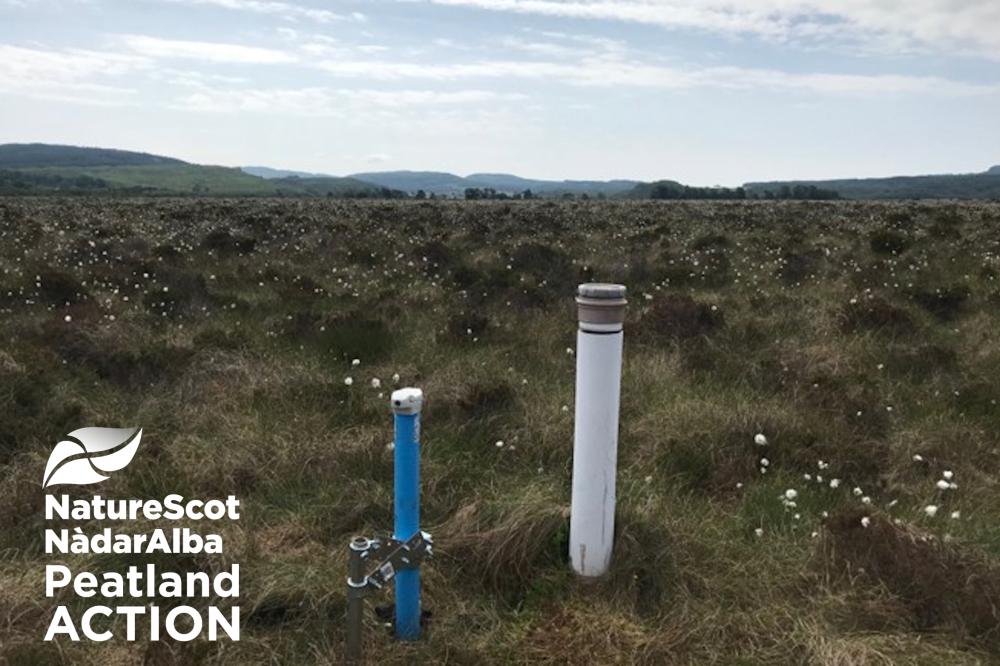 Peatland ACTION - Data loggers
