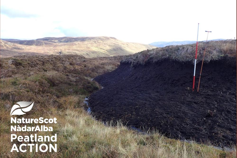 Peatland ACTION: Ranging poles and bare peat hag.